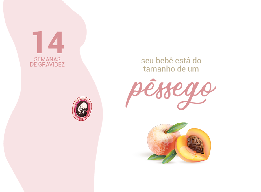 14 semana é quantos meses