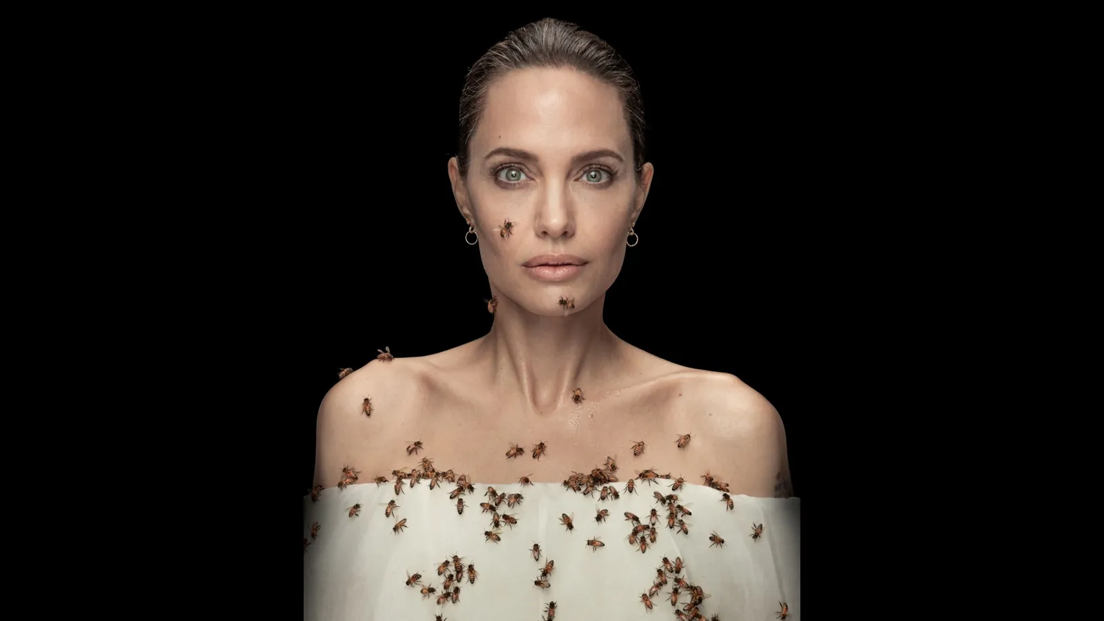 erros comuns ao desenhar o rosto de Angelina Jolie