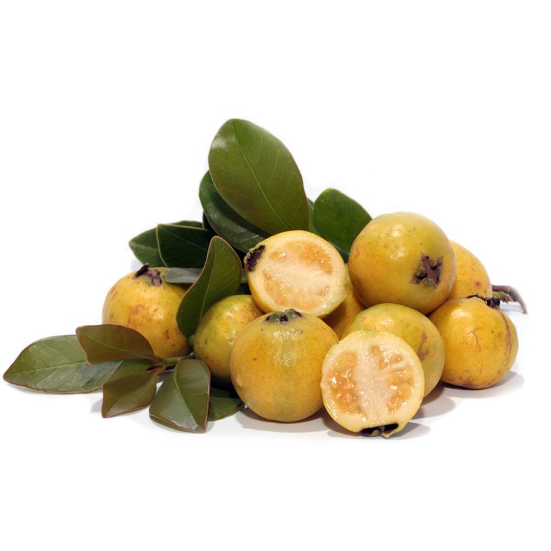 Psidium cattleianum