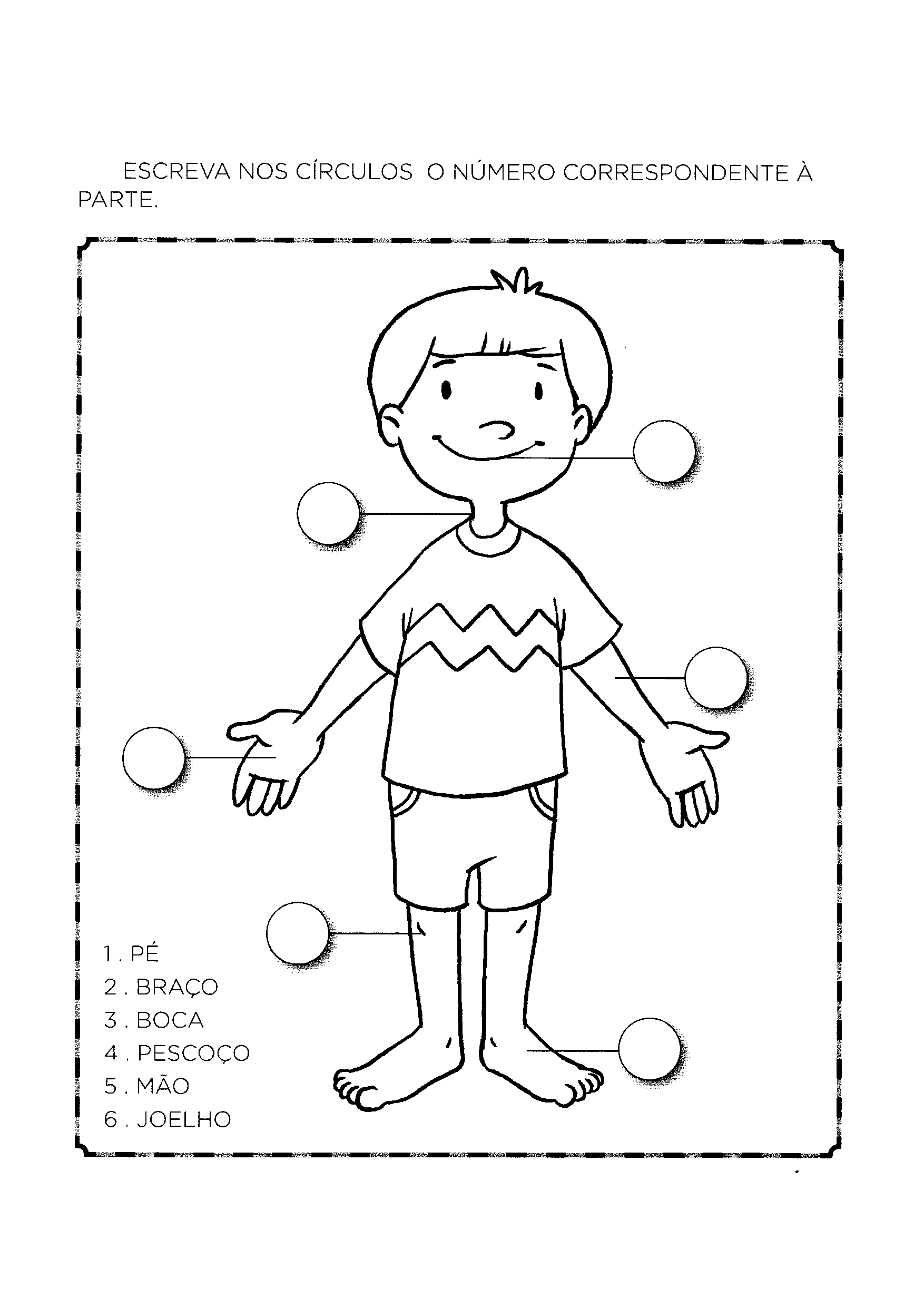 atividades partes do corpo educação infantil pdf