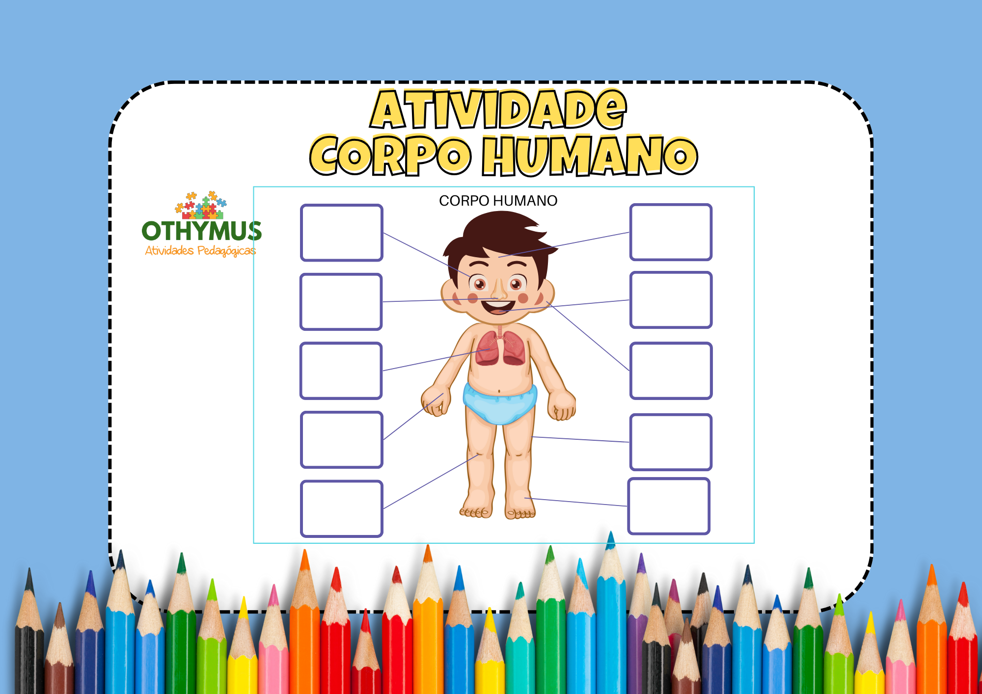 contagem de partes do corpo para crianças