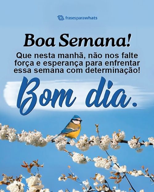 bom dia com alegria e otimismo