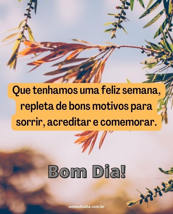 mensagens de bom dia para redes sociais
