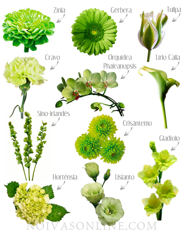 como cuidar de um buquê de flores verdes