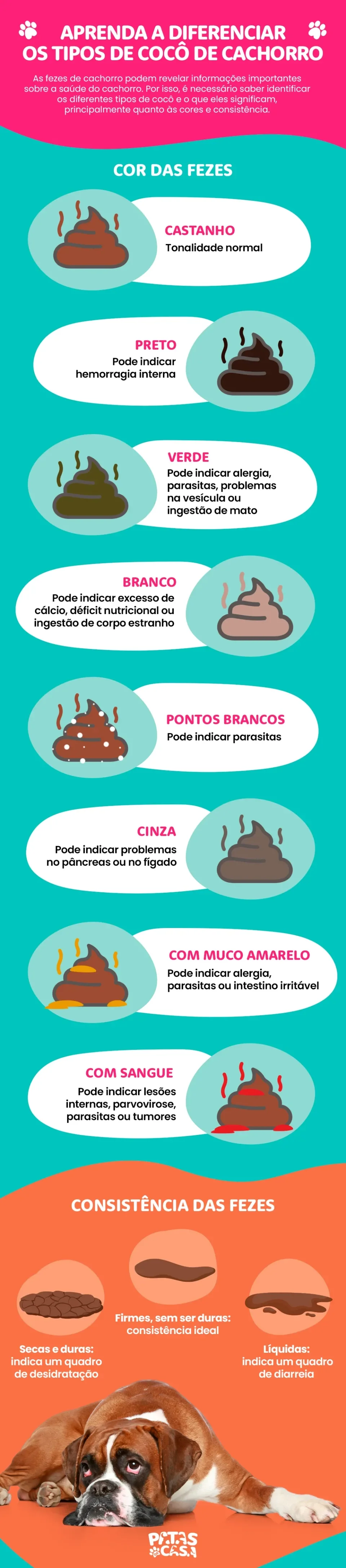 cachorro com diarreia amarela o que pode ser