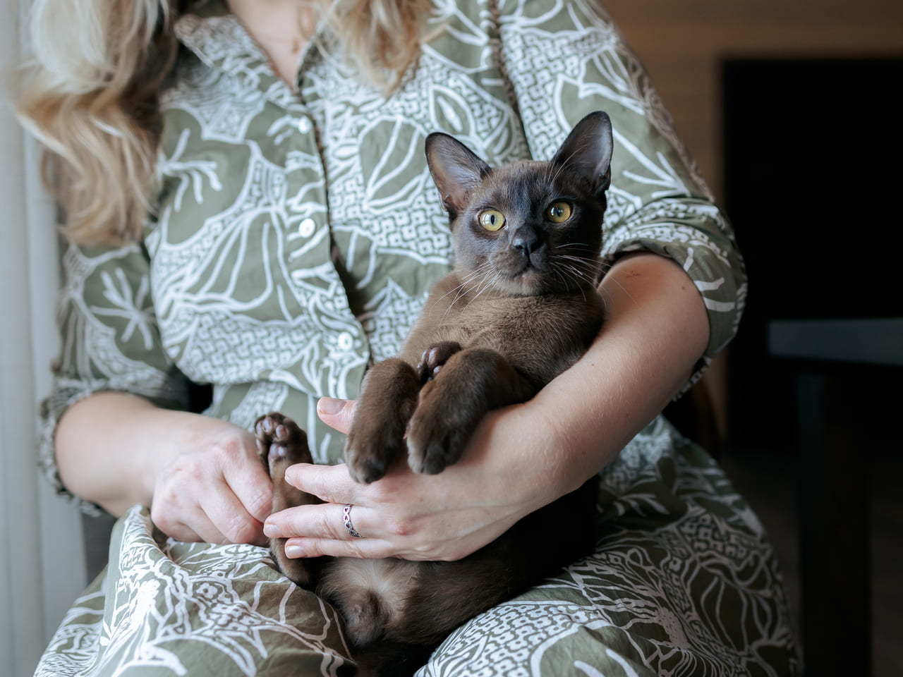 nomes de gatas únicos