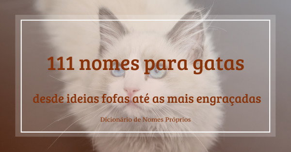 nomes de gatas fofos