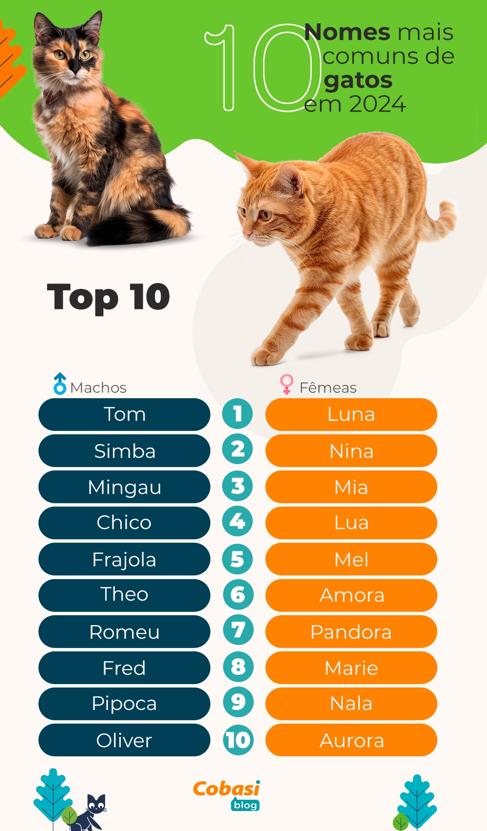 nomes de gatas diferentes