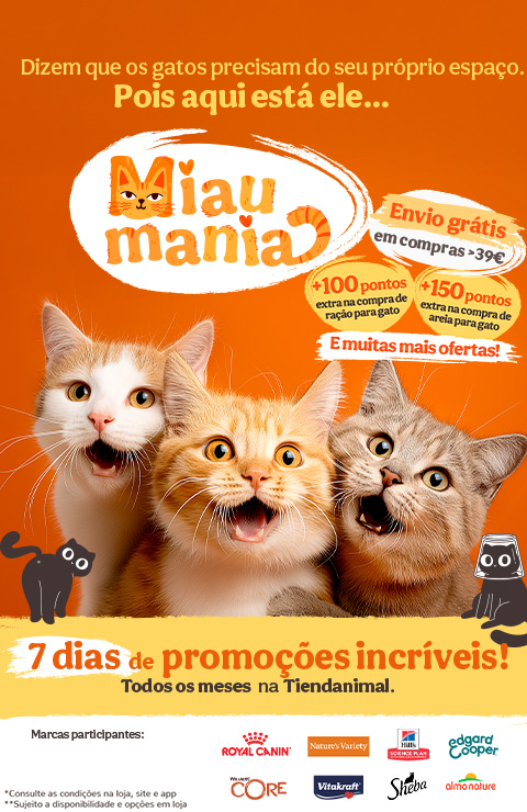 nomes de gatas brancas