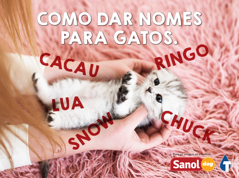 nomes de gatas para 2026