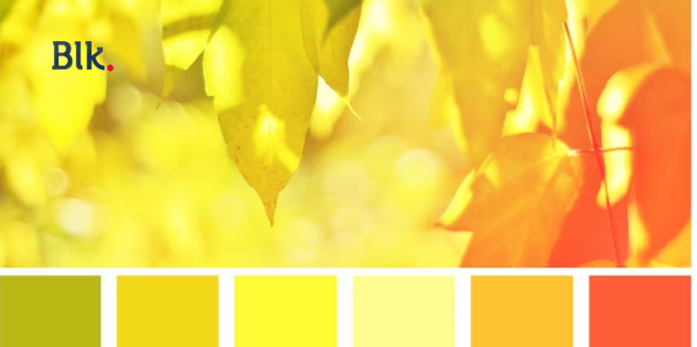 coloração pessoal outono