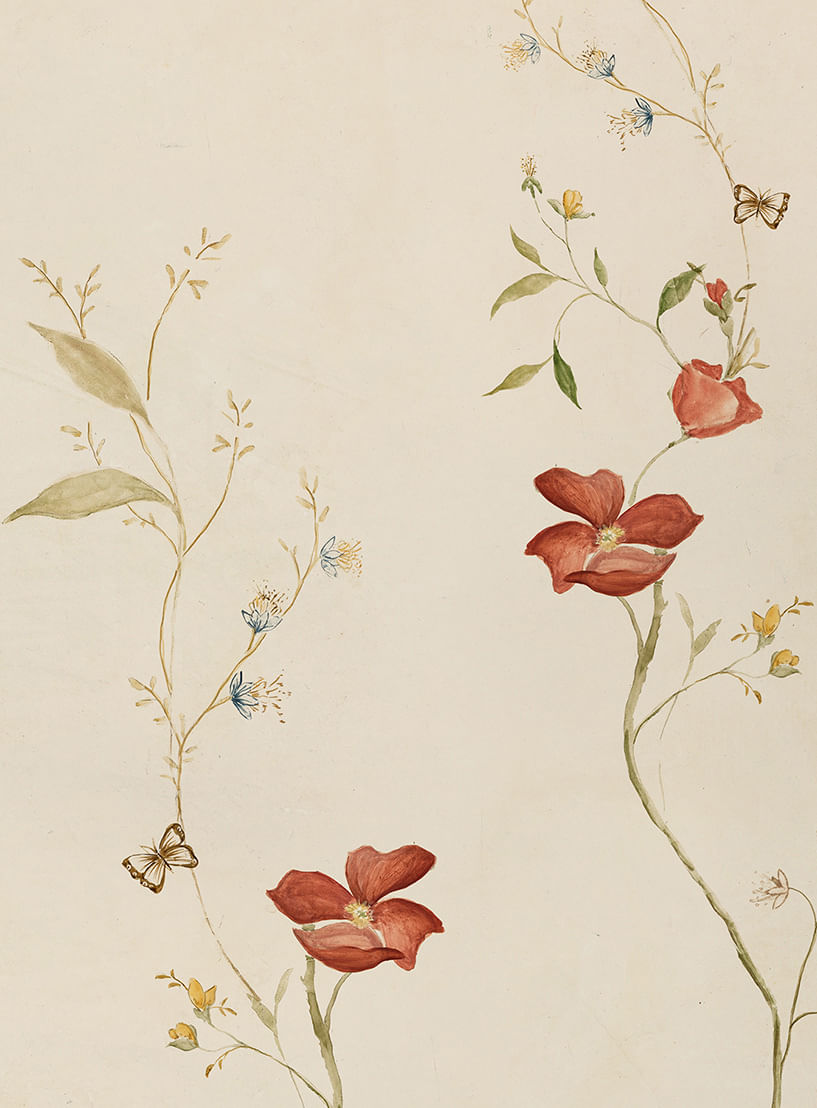 papel de parede outono natureza