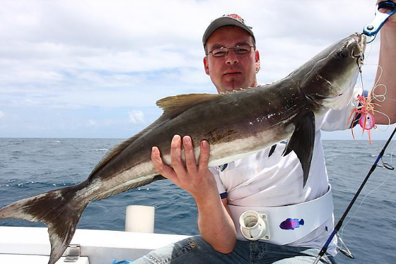 peixes marinhos brasileiros