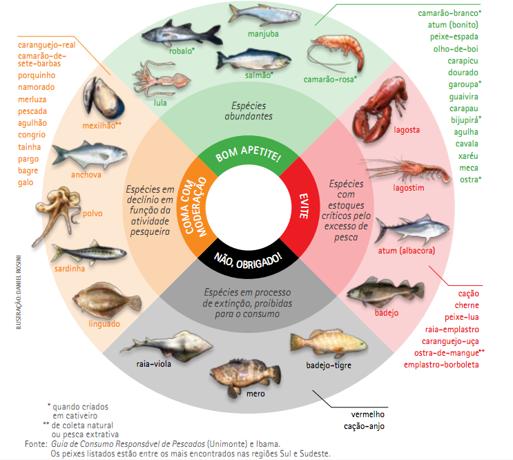 fotos de peixes de aquário marinho