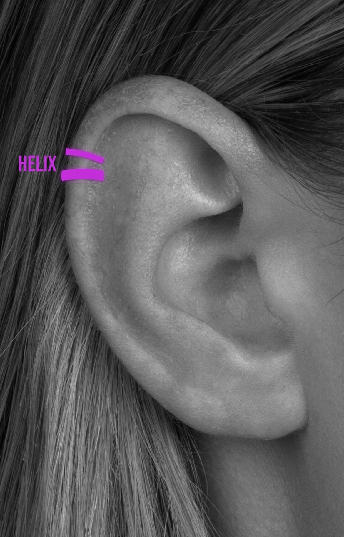 helix earrings