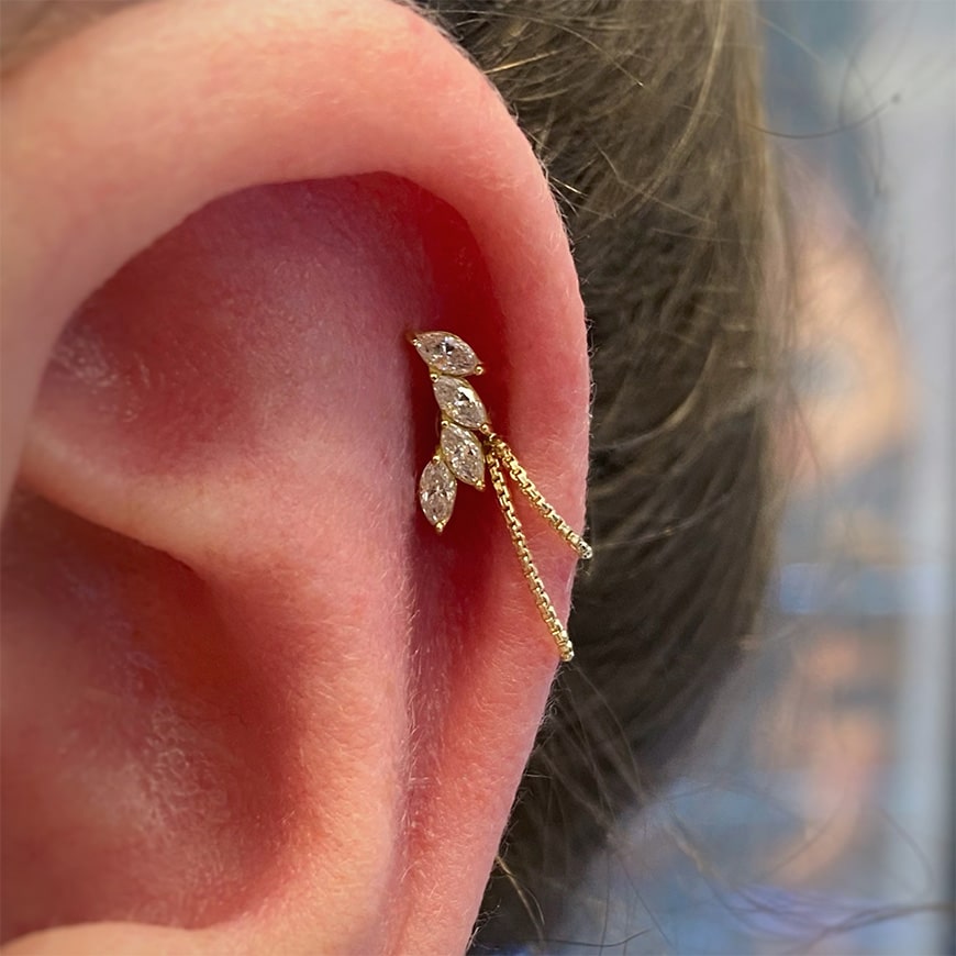 helix earrings