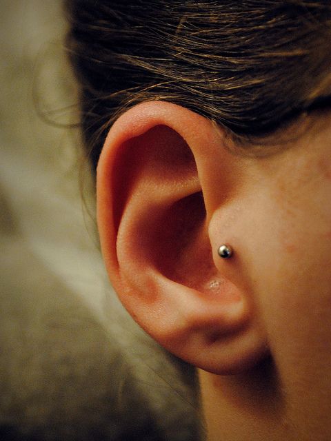 erros comuns ao cuidar de um piercing tragus