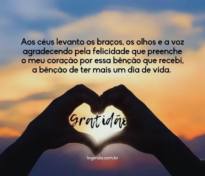 status 🍃 gratidão