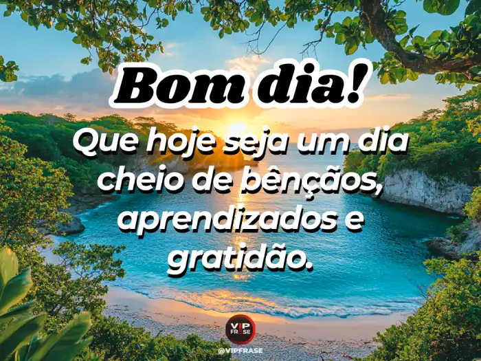 status 🍃 gratidão