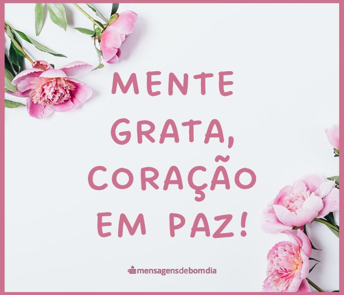 frases de gratidão para redes sociais