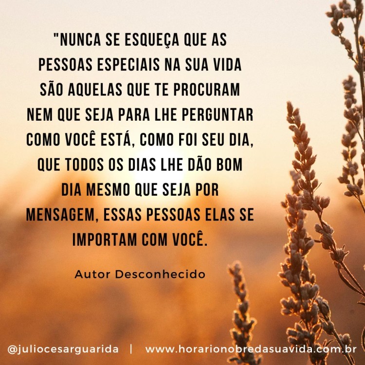 textos de reflexão sobre a vida e gratidão
