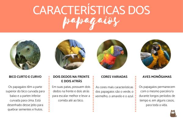 Tipos de papagaios
