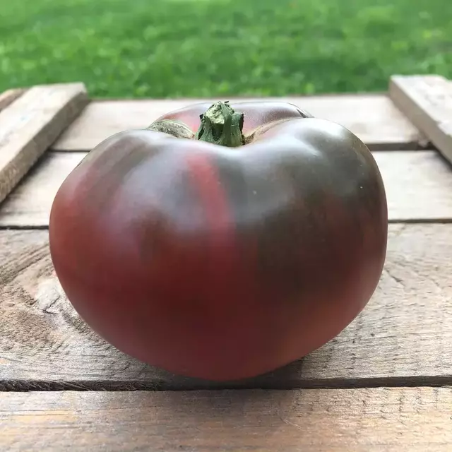 Tomate preto receita