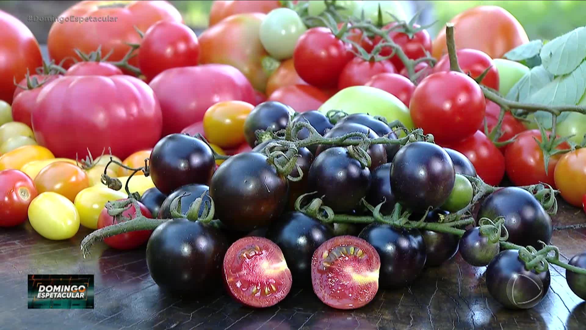 Tomate preto variedades