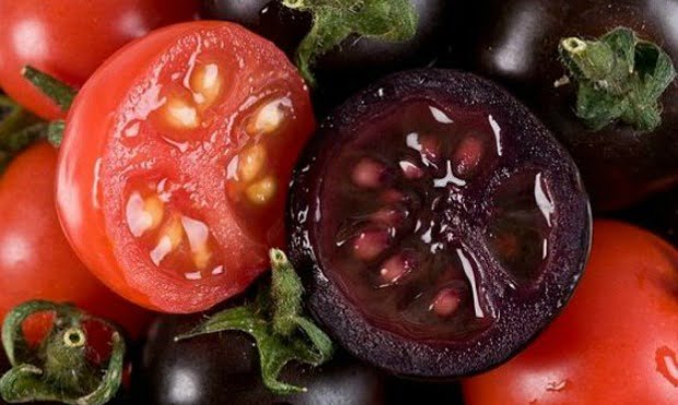 Tomate preto preço