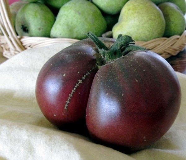 Tomate preto antioxidantes