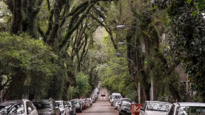 fotografia artística e seu valor