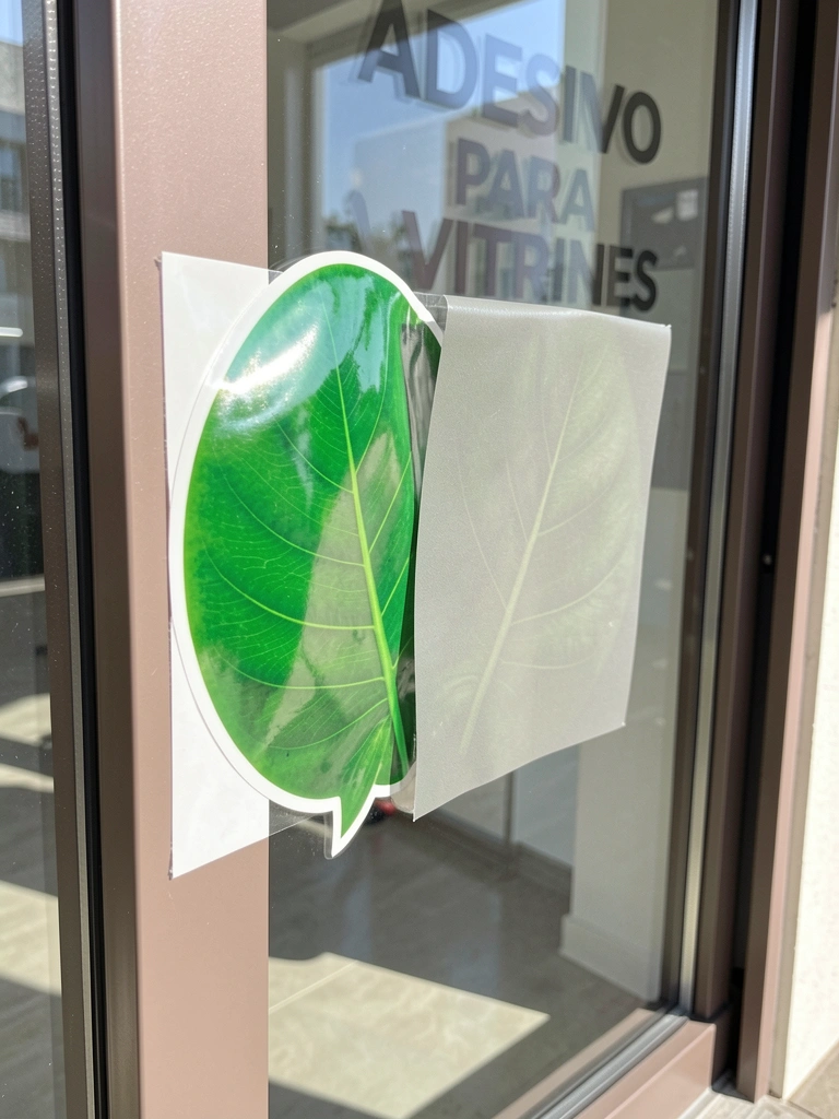 Adesivo glossy verde e adesivo mate sobre vidro de vitrine, luz natural destacando brilho e textura fosca, moldura cinza e escritório ao fundo.