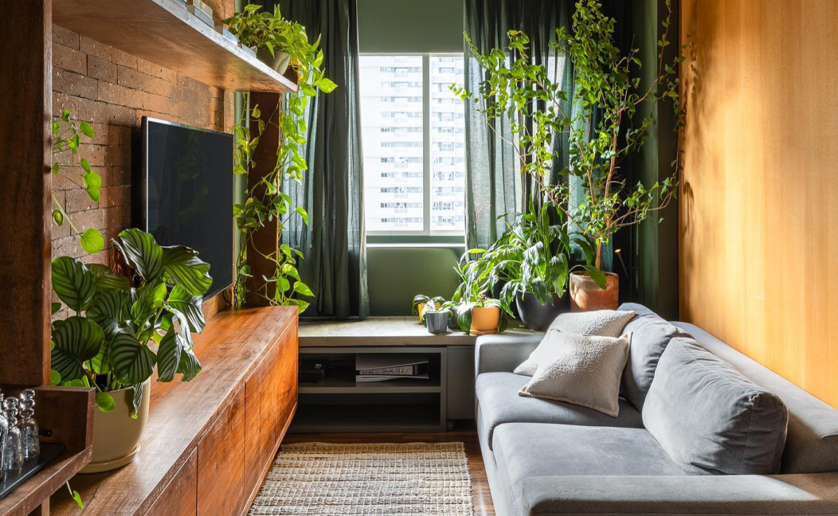 apartamento com quintal