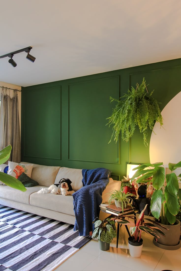 comprar apartamento Zona Norte SP