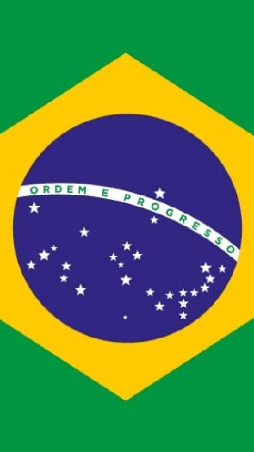 simbolismo bandeiras estaduais