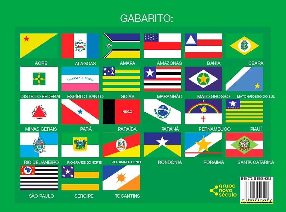 bandeiras dos 26 estados e df