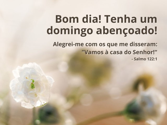 bom dia de domingo com paz