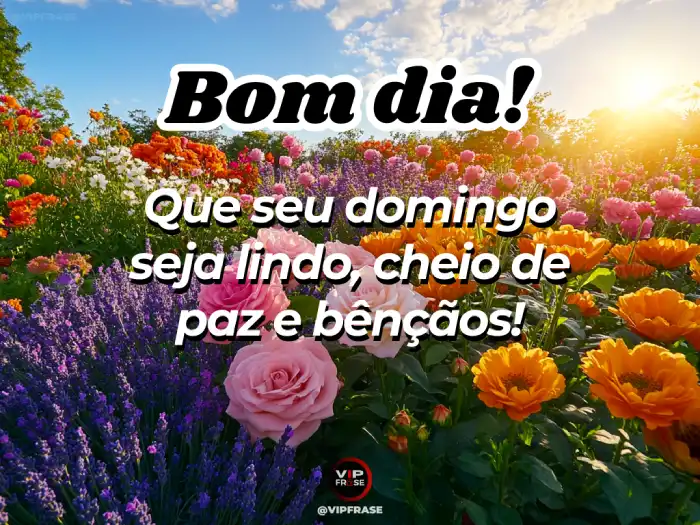 cartões de bom dia domingo