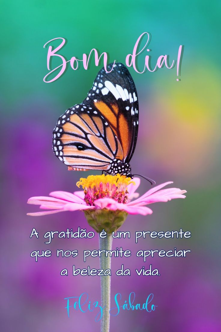 frases de bom dia sábado com amor