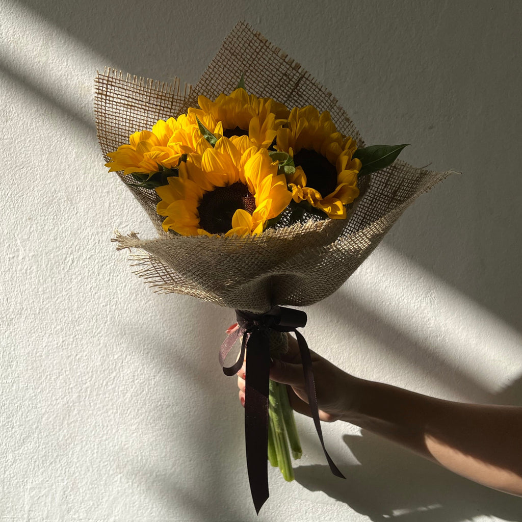 floricultura online girassol