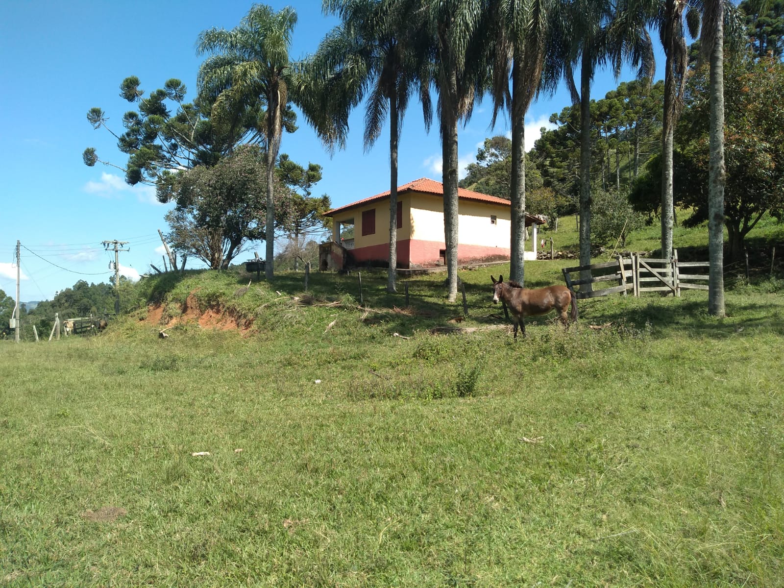 plantas de casas rústicas