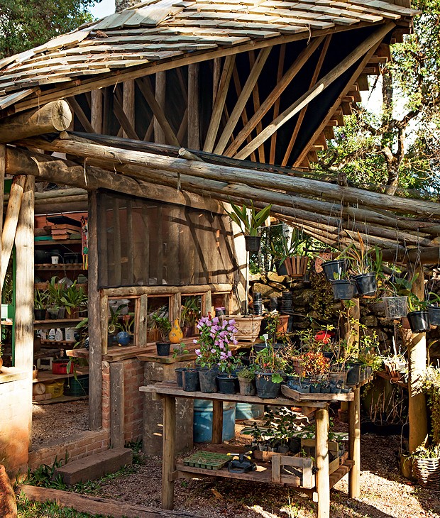 onde comprar plantas