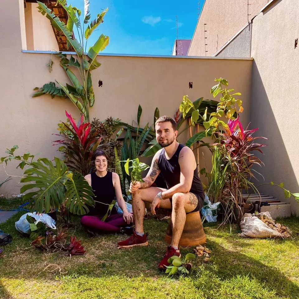 onde comprar plantas