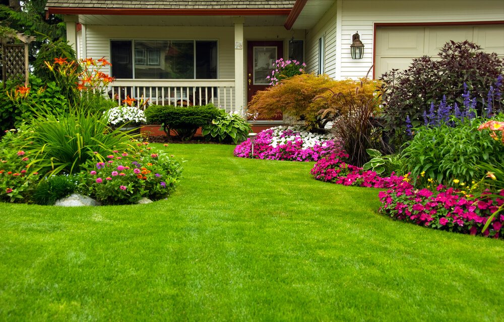 estufa para plantas