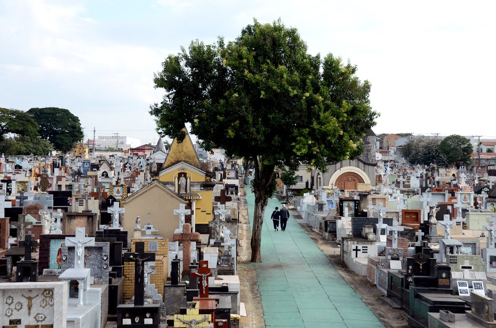 fotos cemitério saudade são paulo