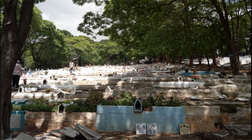 arquitetura cemitério da saudade