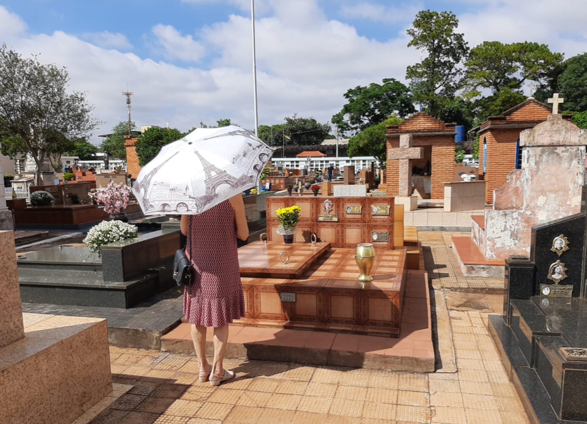 cemitério da saudade campinas imagens