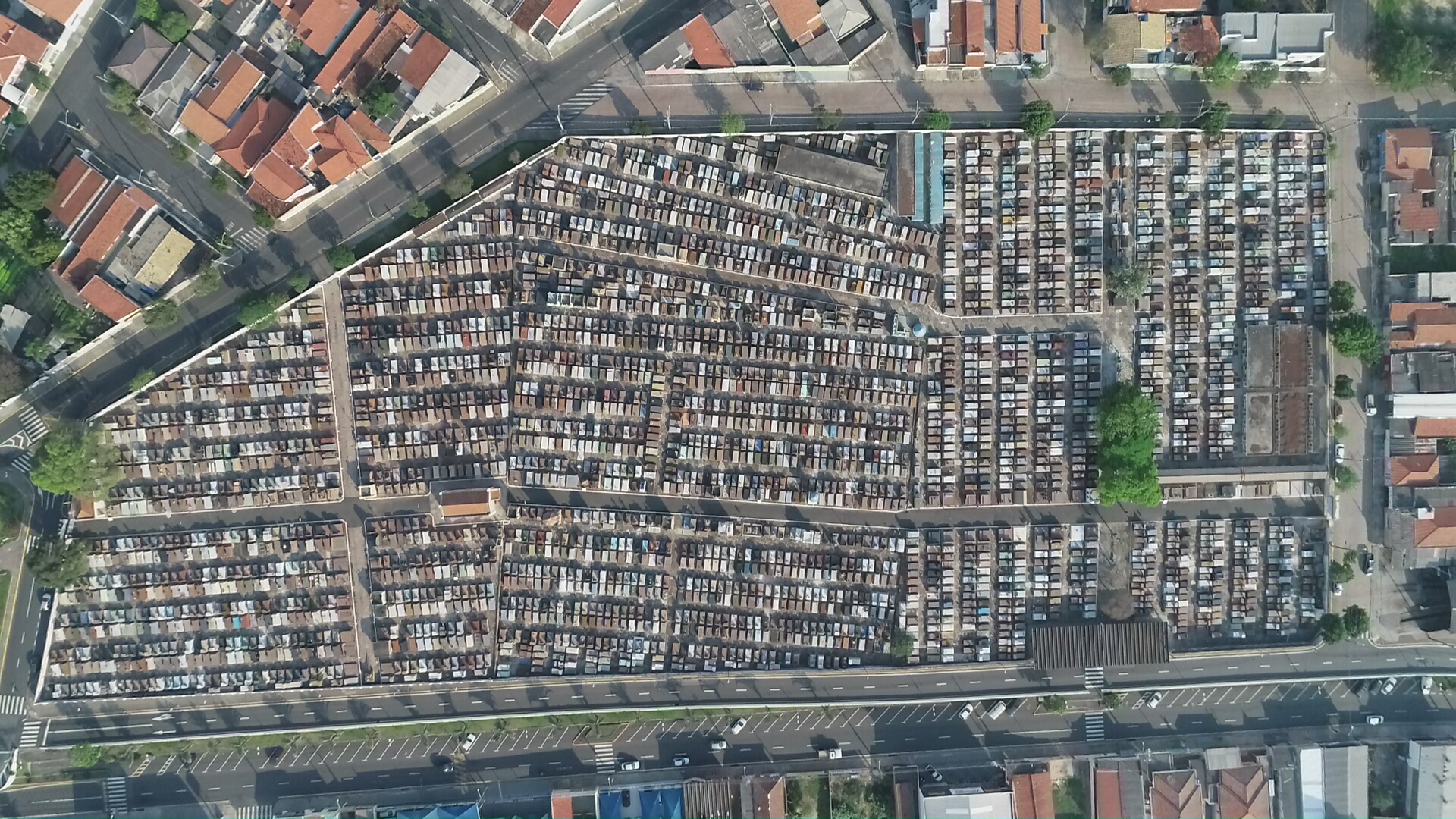 fotos cemitério saudade são paulo