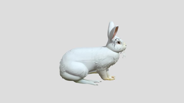 coelho 3d arte