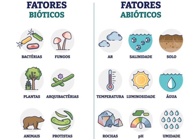 fator biótico